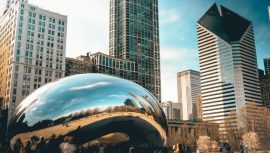 masterstudy_placeholder